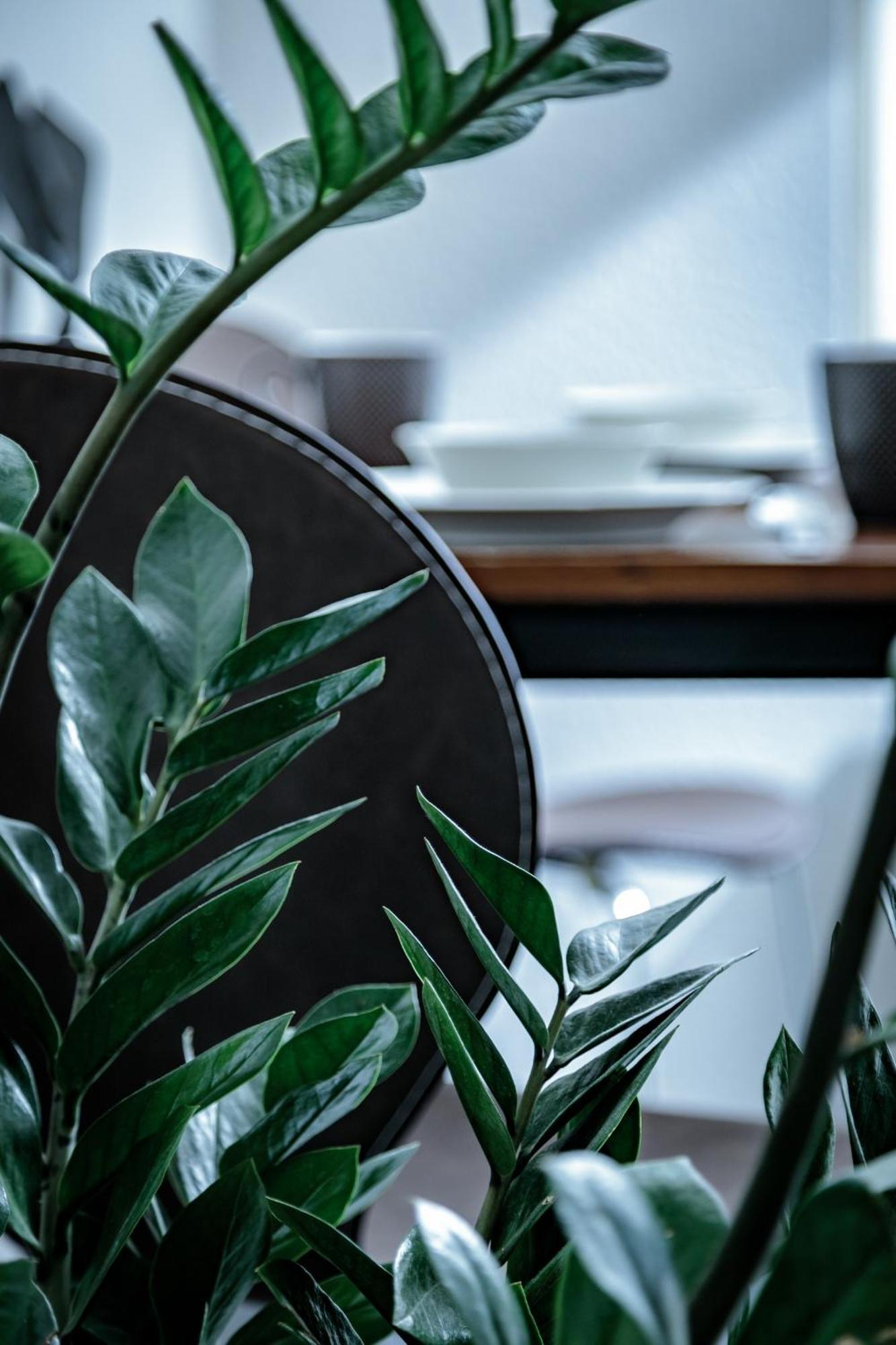 Apartament Neuwerk Erfurt Zewnętrze zdjęcie
